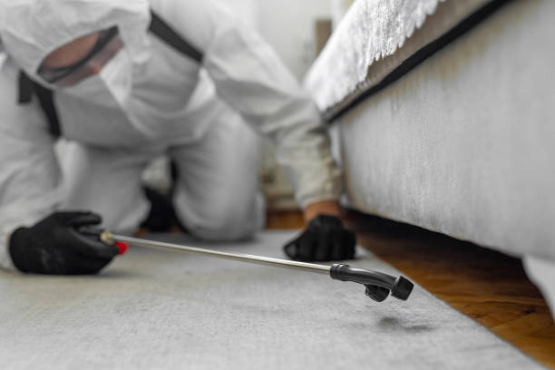 Professional Termite Control technician working in Nyssa, OR