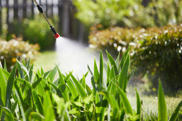 24/7 Emergency Termite Control experts in Nyssa, OR
