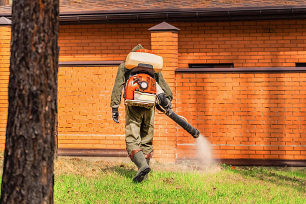 Top rated local Termite Control specialists in Nyssa, OR
